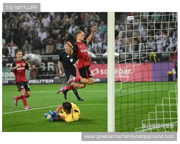 德甲转会焦点事件