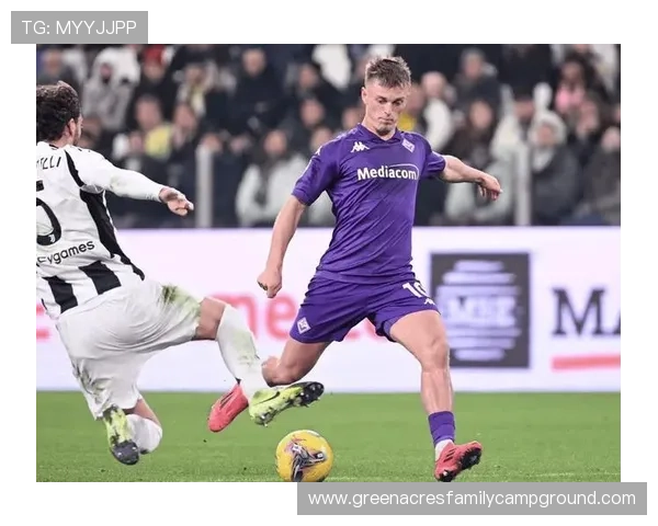 佛罗伦萨球队结构解析：当前阵容框架与战术体系分析