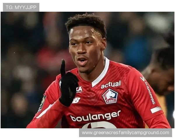 乔纳森·戴维：从比利时爆发到法甲证明自己的成长轨迹