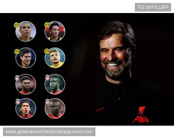 凯恩与菲尔米诺对比:传统中锋与伪九号角色,终结能力与战术核心的差距在哪 凯恩与菲尔米诺对比:传统中锋与伪九号角色,终结能力与战术核心的差距在哪