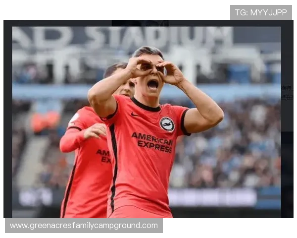 特罗萨德在布莱顿时期如何成为进攻核心 特罗萨德在布莱顿时期如何成为进攻核心