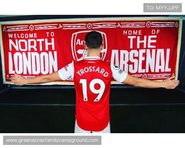 从默默无闻到豪门奇兵：特罗萨德如何完成自我进化