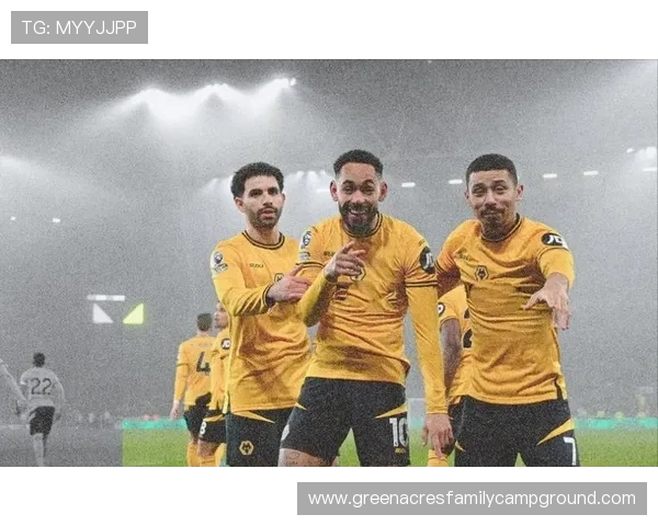 B费大赛表现稳定性与关键战贡献争议