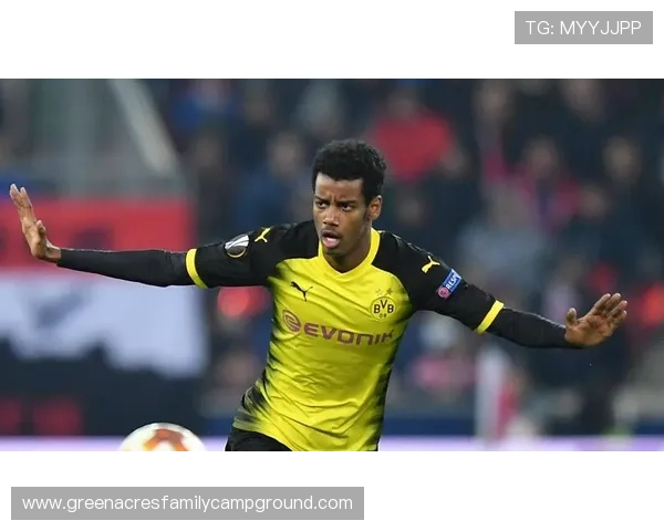 多特蒙德赛季初表现强势，为何屡现高开低走走势？