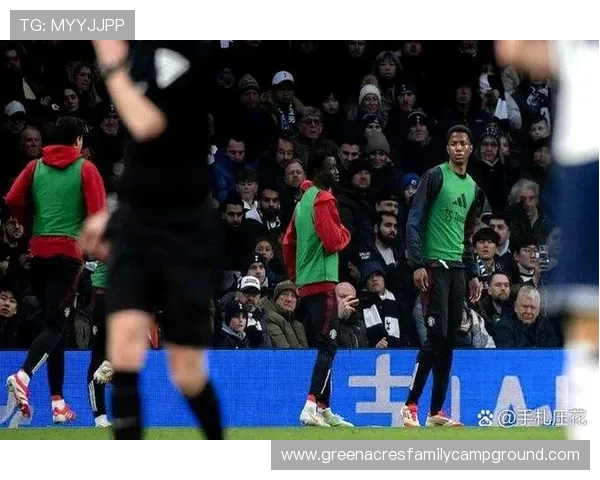 热刺边路速度优势明显，但一慢下来进攻组织出现问题，对赛季表现造成影响