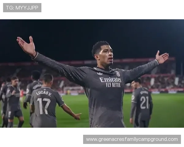 贝林厄姆欧冠高强度比赛稳定输出解析