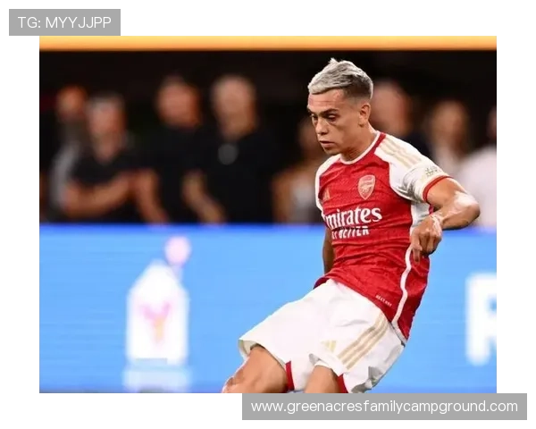 特罗萨德：非核心却不可或缺的独特战术角色