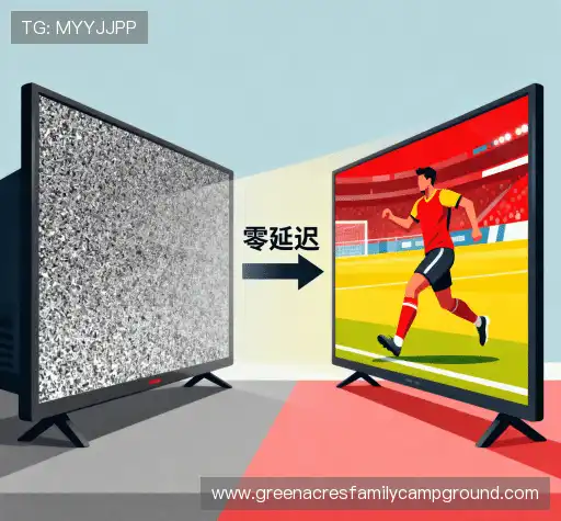 行业领先的理由